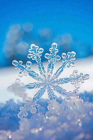 冰天雪地里的透明雪花白雪立冬小寒大寒冬至摄影图/