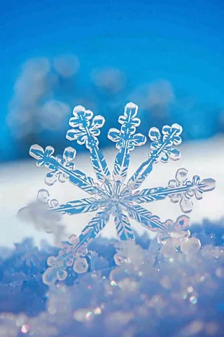 冰天雪地里的透明雪花白雪立冬小寒大寒冬至摄影图/