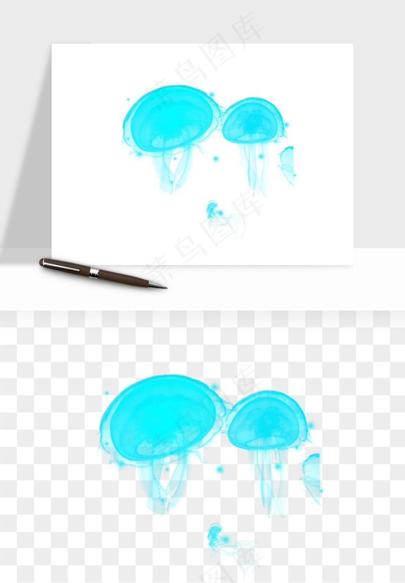 水母章鱼海底生物png免抠图