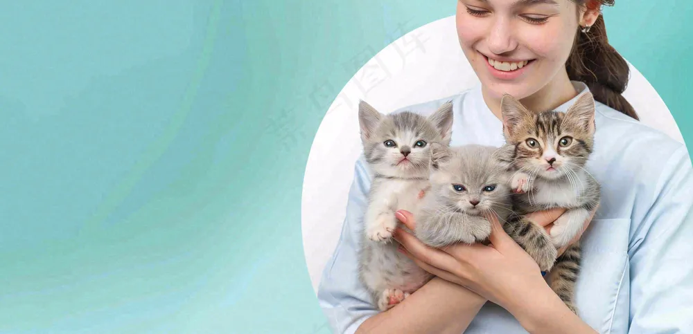宠物医院猫狗生病救治摄影图