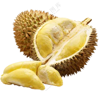 热带水果榴莲与开出的果肉免抠图片