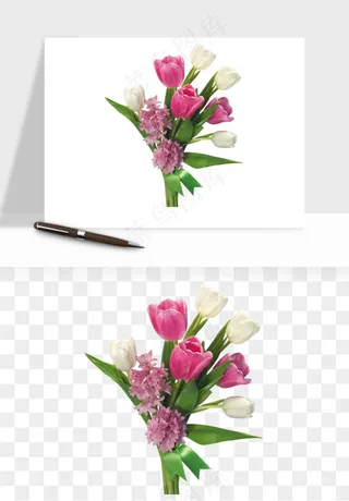 荷兰郁金香鲜花png免抠