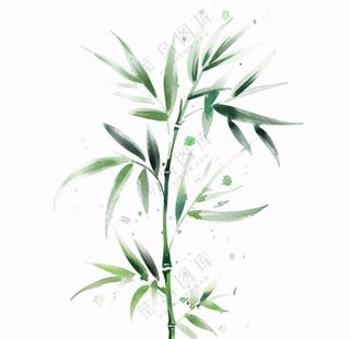 绿竹竹子绿植水墨画插画免抠