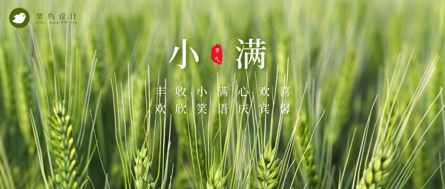 小满公众号首图
