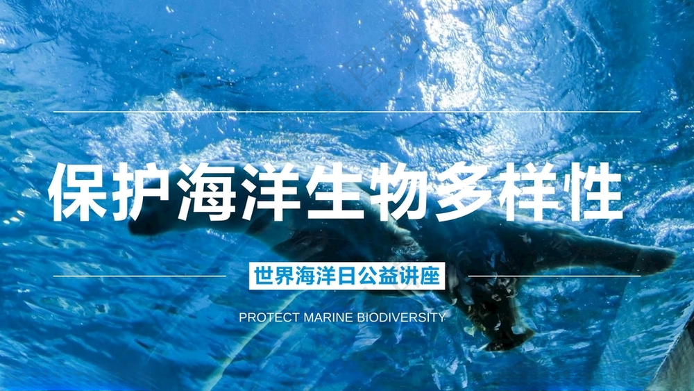保护海洋生物世界公益讲座海报世界公益讲座CDR
