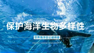 保护海洋生物世界公益讲座海报世界公益讲座CDR