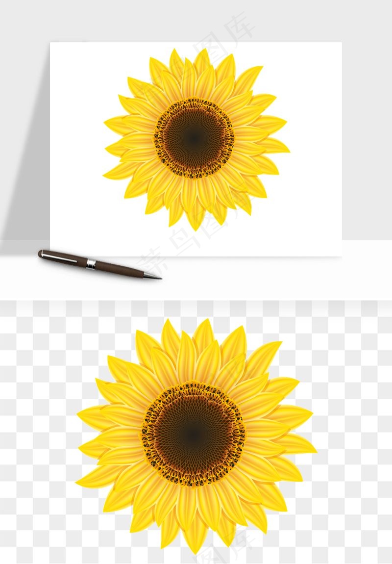 向日葵太阳花卉png免抠