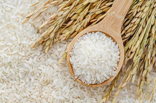 世界粮食日谷物米饭稻谷小麦摄影图