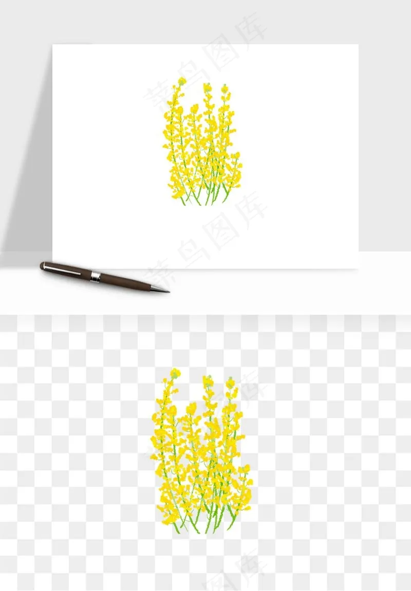 油菜花田png免抠