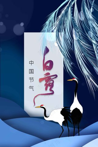 白露节气传统活动海报