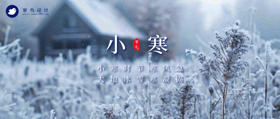 小寒公众号首图