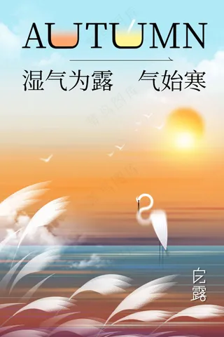 白露节气传统活动海报