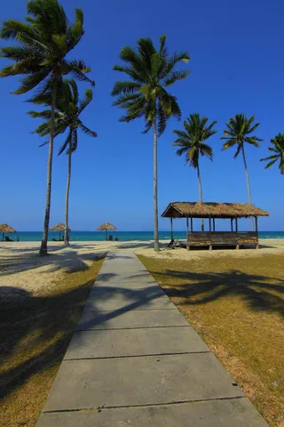 棕径海滨宁静景·田园风情·蓝灰静谧·桌面之选