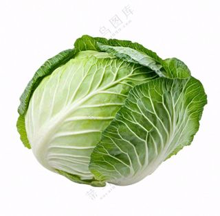 青菜蔬菜包菜免抠