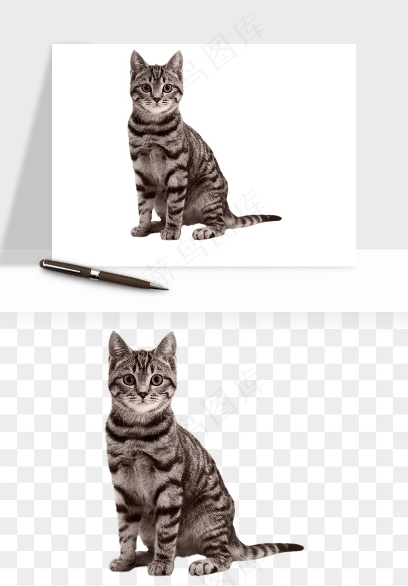 猫咪喵星人狗狗宠物元素png免抠