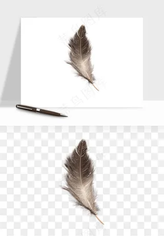 白羽毛漂浮彩色羽毛png免抠