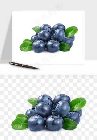 蓝莓水果png免抠