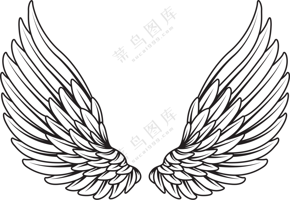 黑白线描手绘翅膀元素免抠图片素材