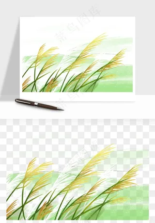 植物芦苇蒲苇香蒲png免抠