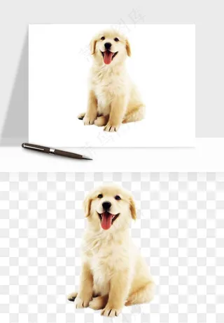 猫咪喵星人狗狗宠物元素png免抠