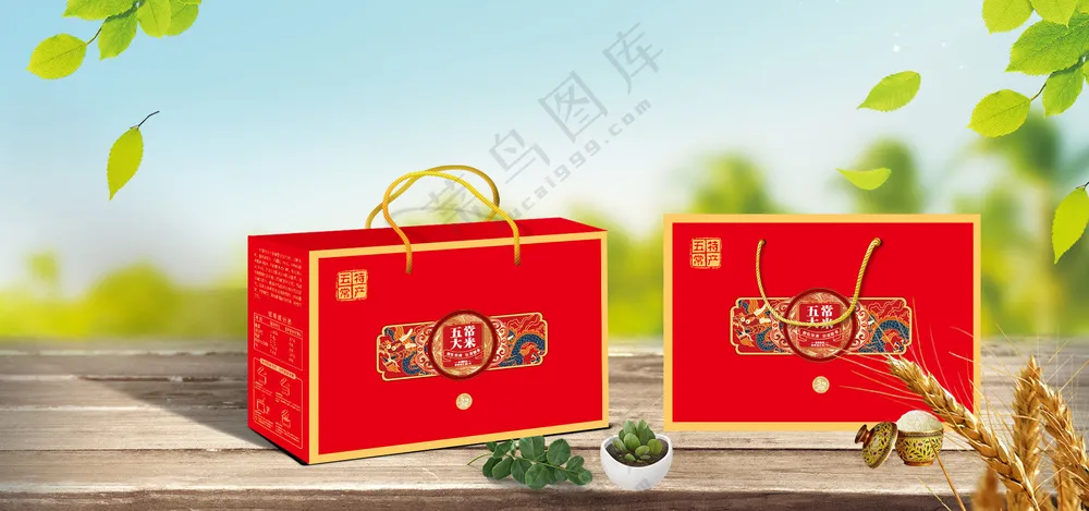 五常大米-电商效果图