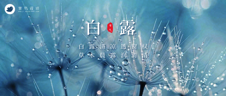 白露公众号首图