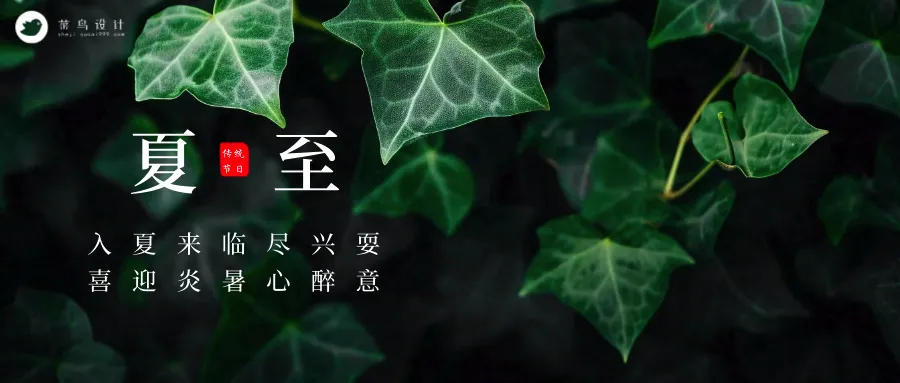 夏至公众号首图