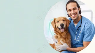 宠物医院猫狗生病救治摄影图