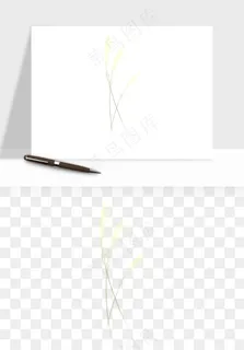 植物芦苇蒲苇香蒲png免抠 植物芦苇蒲苇香蒲png免抠