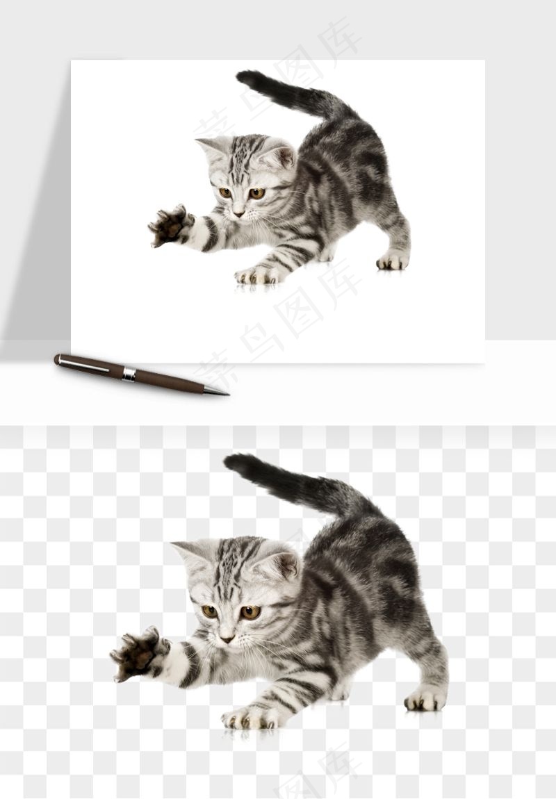 猫咪喵星人狗狗宠物元素png免抠