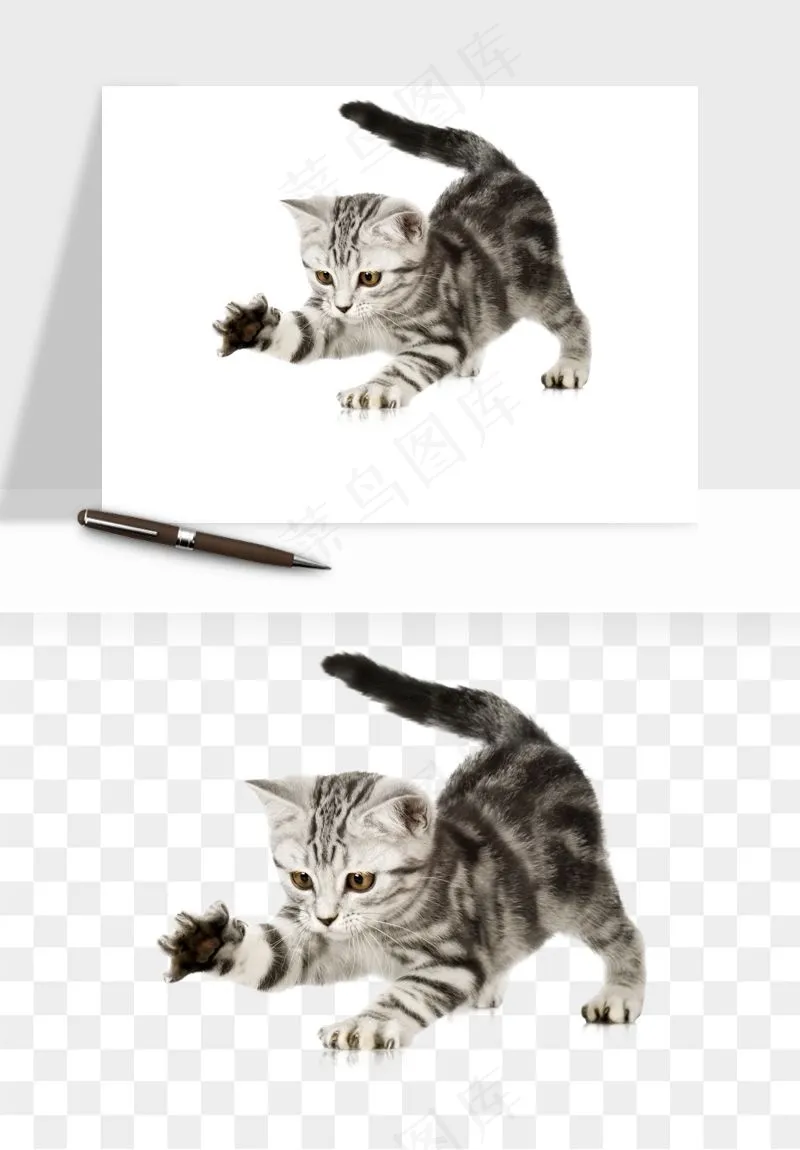 猫咪喵星人狗狗宠物元素png免抠