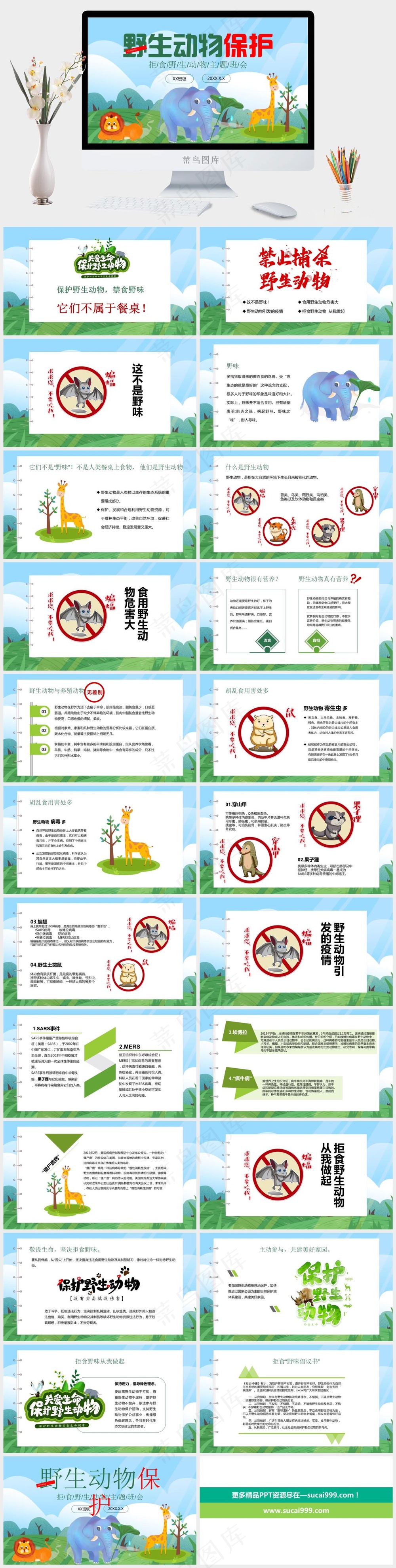 保护野生动物绿色环保PPT