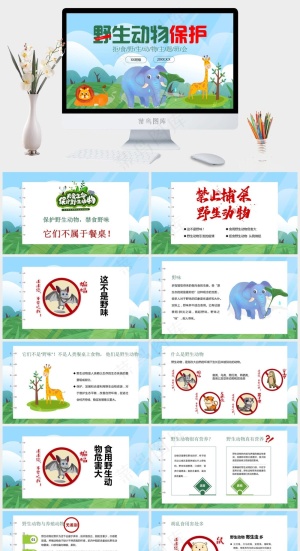 保护野生动物绿色环保PPT预览图