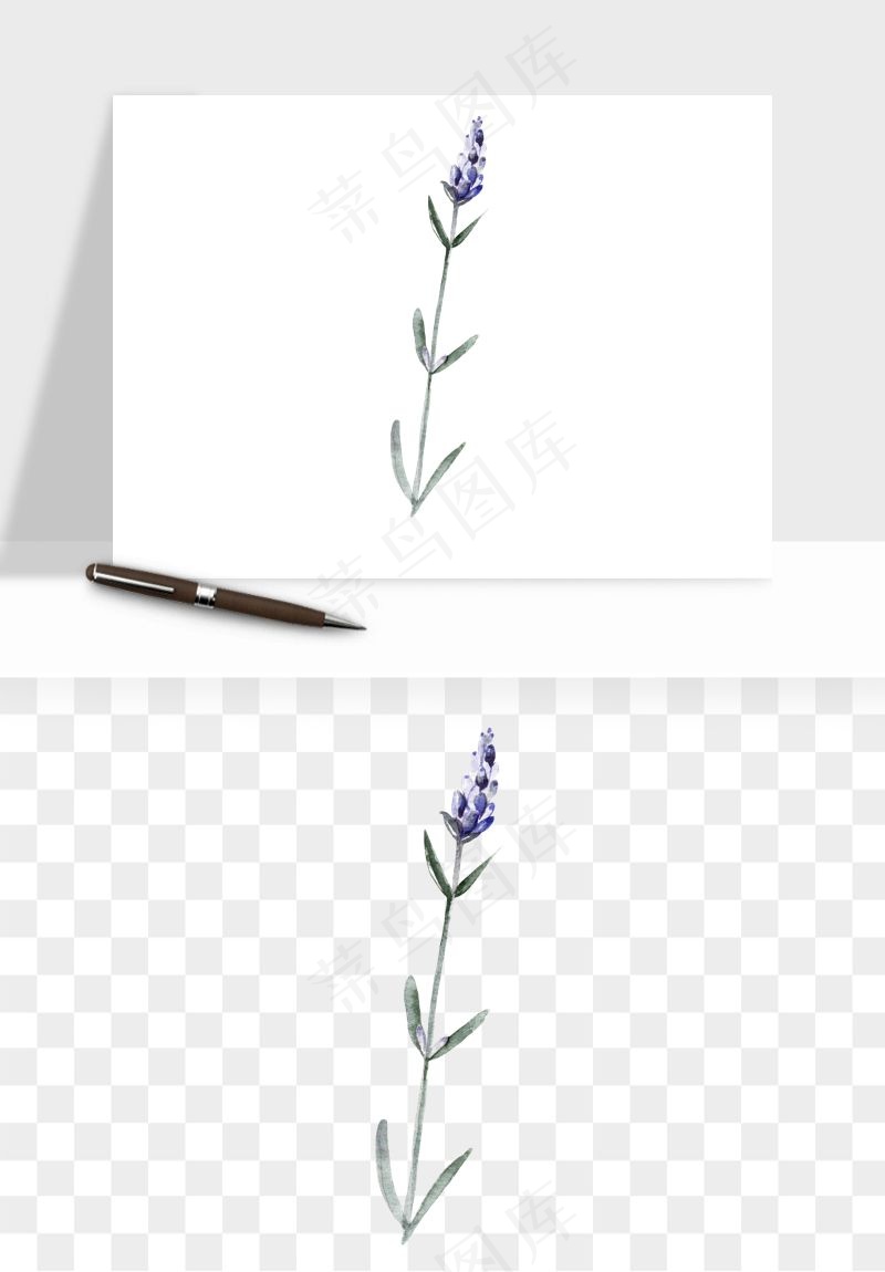 水彩复古植物花卉png免抠