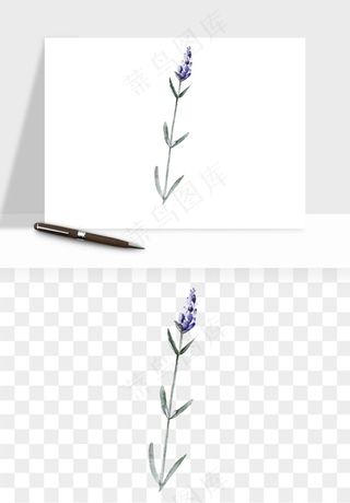 水彩复古植物花卉png免抠