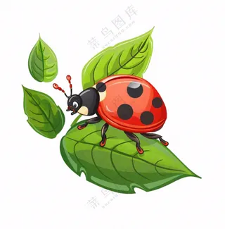 昆虫七星瓢虫绿叶卡通插画免抠