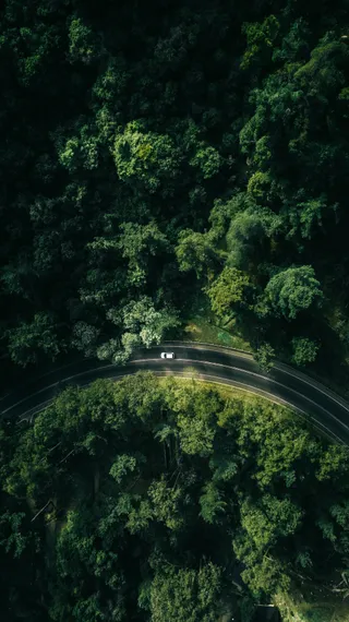 高空俯拍的绿色公路