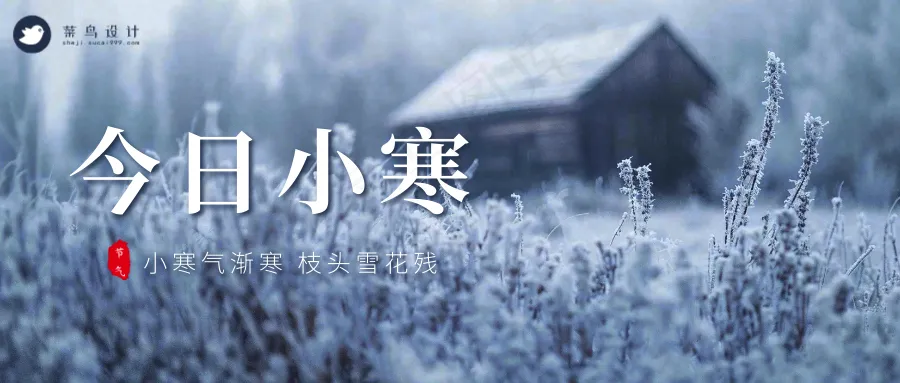 小寒公众号首图