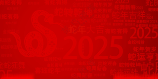 蛇年大吉大气背景2025蛇年广告设计海报