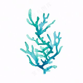 海洋海藻珊瑚植物卡通插画免抠