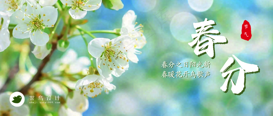 春分公众号首图