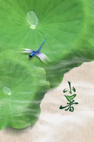 小暑节气传统活动海报