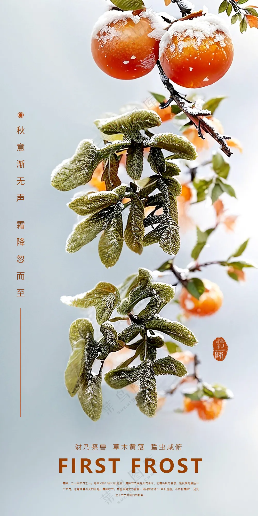 霜降节气海报