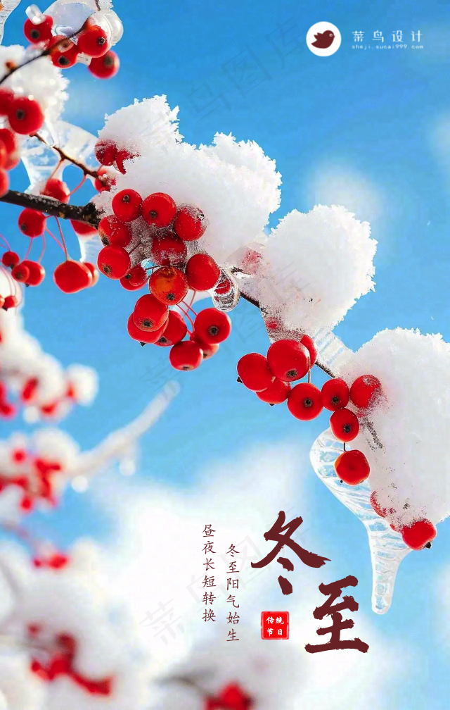 冬至手机海报