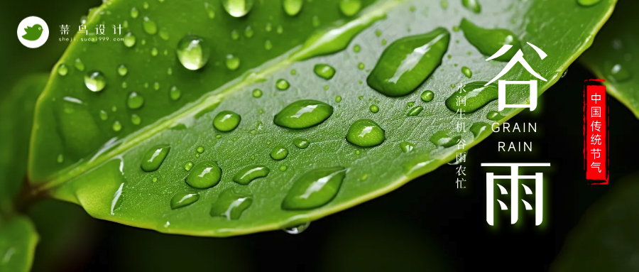 谷雨公众号首图