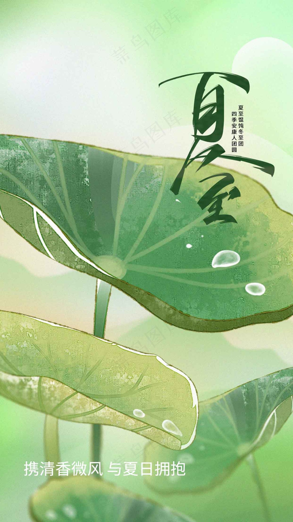 清新绿色夏至节气海报