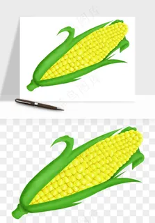 玉米带叶玉米png免抠
