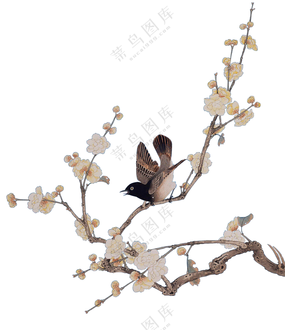 花鸟元素绘画效果创意PNG免抠图片