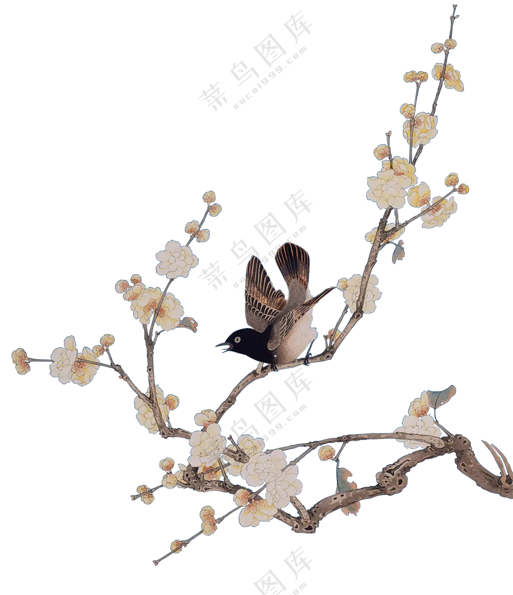 花鸟元素绘画效果创意PNG免抠图片