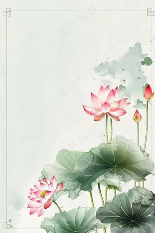 夏天荷花荷叶清凉小清新淡雅小暑大暑处暑插画背景